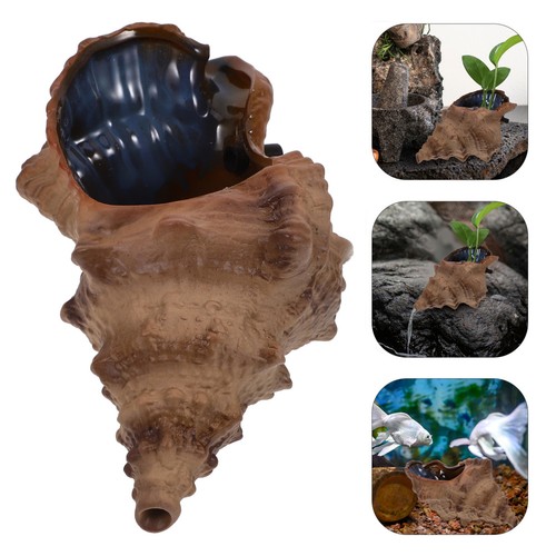 Indoor outdoor ceramic conch - outdoor,